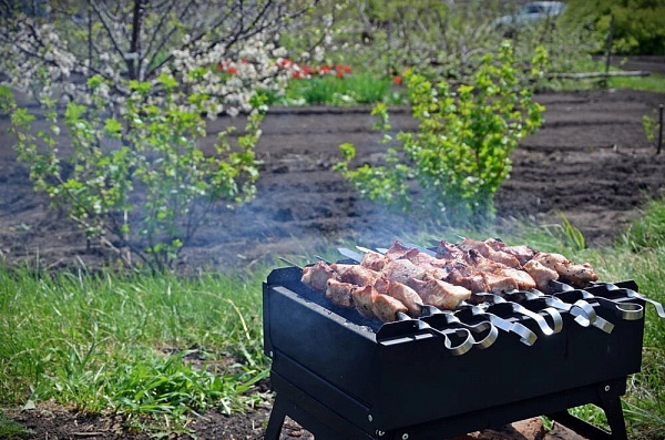 Купить Мангал «Печенег» в Нижнем Новгороде